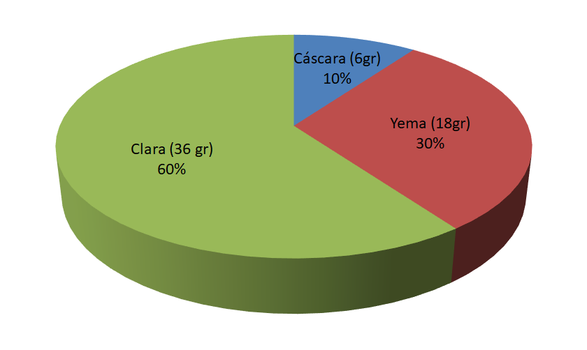 composición de un huevo
